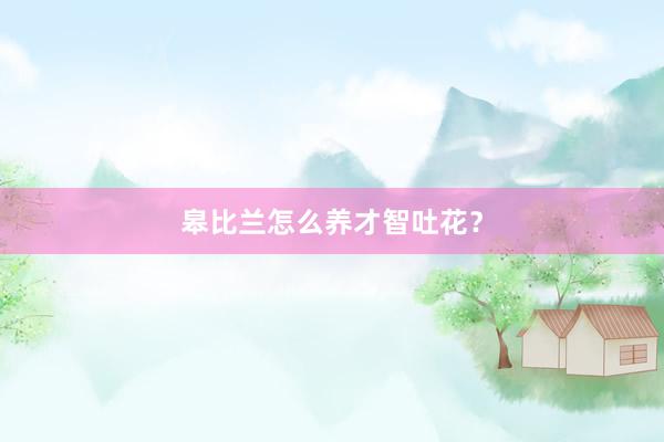 皋比兰怎么养才智吐花？
