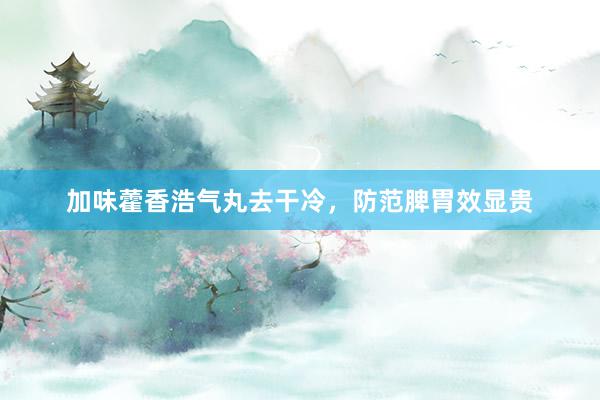 加味藿香浩气丸去干冷，防范脾胃效显贵